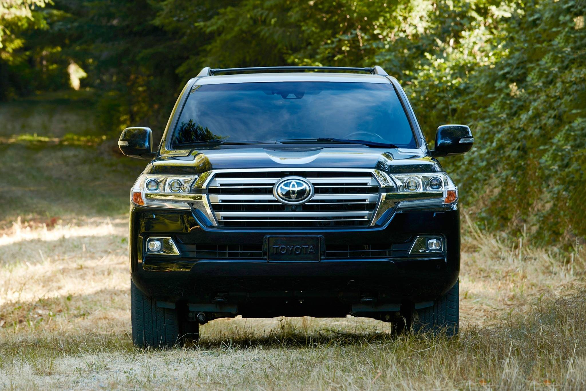 2017 Toyota Land Cruiser Specs, Prices, VINs & Recalls - AutoDetective